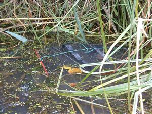 TML, uloženie pascí